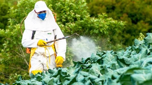 الزراعة توضح الجهة المسؤولة عن تسجيل واعتماد المبيدات الزراعية