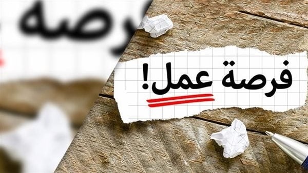عمل الإسماعيلية توفر 10 فرص عمل جديدة لذوي الهمم بالقطاع الخاص