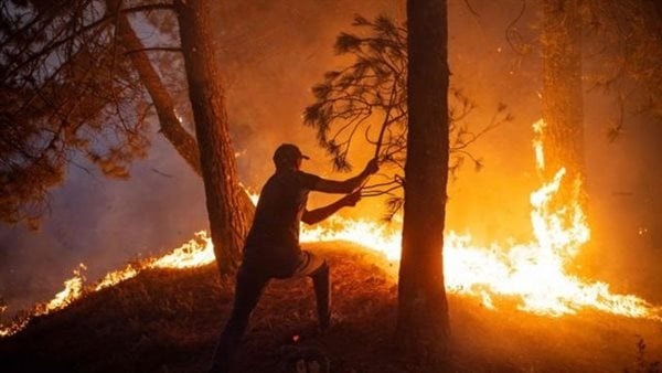 حرائق الغابات تهدد صحة الحوامل إجلاء 20 ألف شخص من غرب كندا حرائق الغابات تهدد صحة الحوامل إجلاء 20 ألف شخص من غرب كندا