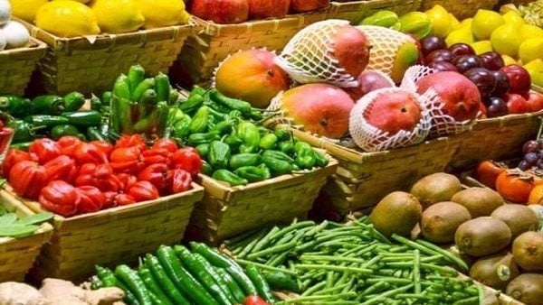 صادرات مصر الزراعية تتجاوز 5 ملايين طن خلال العام الجاري صادرات مصر الزراعية تتجاوز 5 ملايين طن خلال العام الجاري