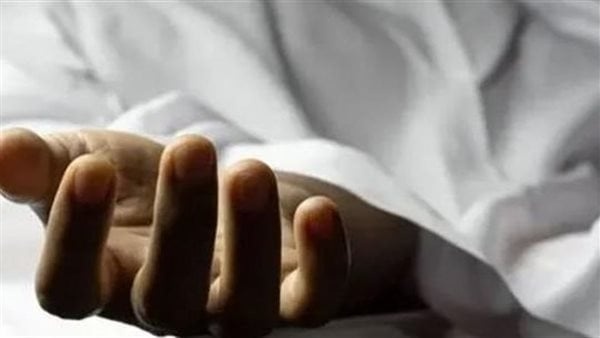 مصرع شخص صدمته سيارة مجهولة أمام منية سندوب في الدقهلية مصرع شخص صدمته سيارة مجهولة أمام منية سندوب في الدقهلية