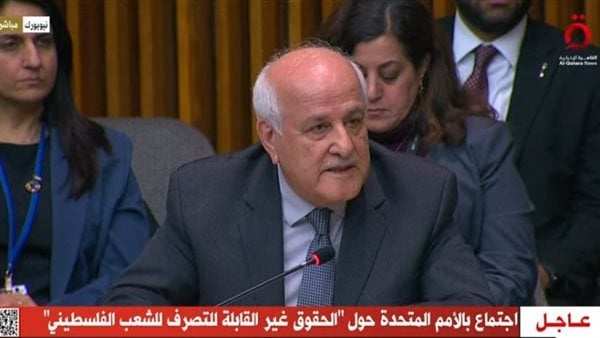 رياض منصور صفة دولة مراقبة فتحت أمام فلسطين أبواب المشاركة الدولية رياض منصور صفة دولة مراقبة فتحت أمام فلسطين أبواب المشاركة الدولية