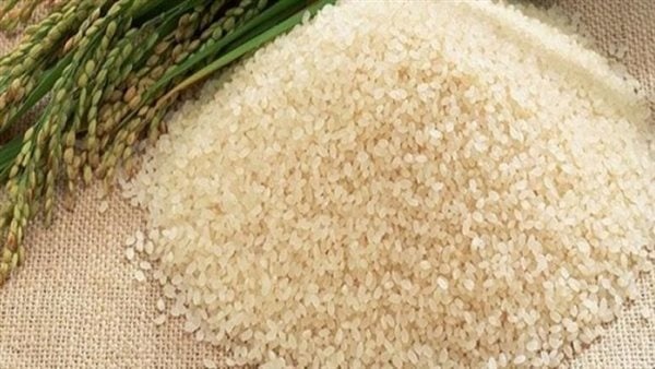 سعر طن الأرز الشعير اليوم الأحد 7 يونيو 2026 للمزارعين سعر طن الأرز الشعير اليوم الأحد 7 يونيو 2026 للمزارعين