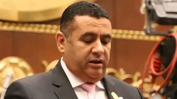 عضو بالشيوخ زيارة الرئيس السيسي إلى تنزانيا تؤكد قيادة مصر نموذج جديد للشراكة الإفريقية عضو بالشيوخ زيارة الرئيس السيسي إلى تنزانيا تؤكد قيادة مصر نموذج جديد للشراكة الإفريقية