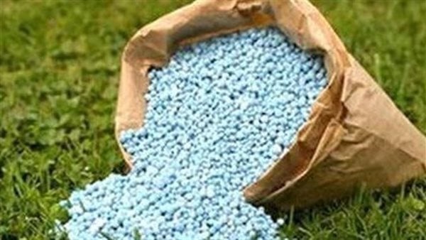1000جنيه للحر و295 للمدعم الجمعية العامة للائتمان الأسمدة متوفرة بالجمعيات الزراعية دون اختناقات