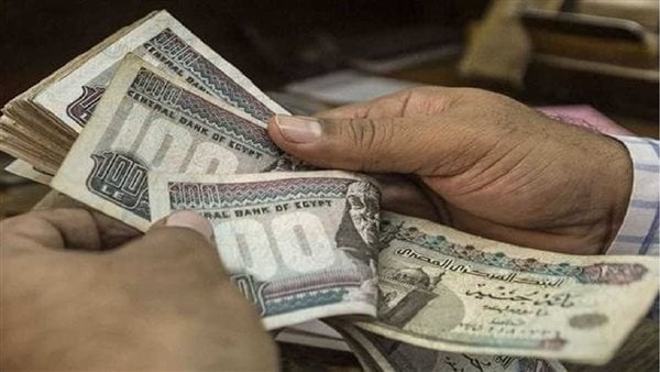 برلماني زيادة المعاشات خطوة هامة تدعم كبار السن بتوجيهات رئاسية