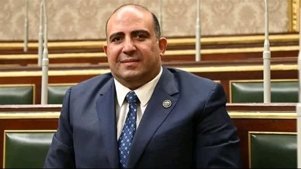وكيل إفريقية النواب مصر تقود جهود استقرار السودان والعلمين منصة دولية لدعم الحل السياسي وكيل إفريقية النواب مصر تقود جهود استقرار السودان والعلمين منصة دولية لدعم الحل السياسي