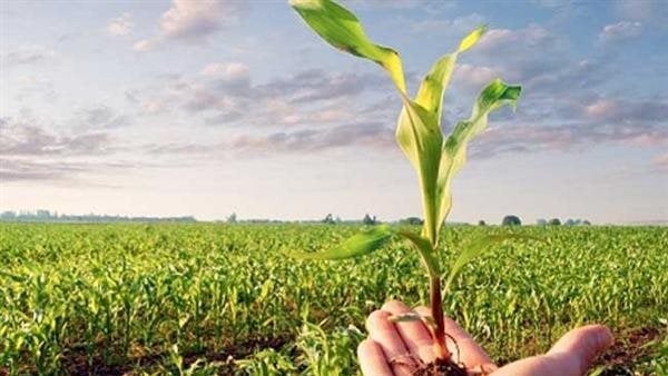 التسميد الذكي استراتيجية مصرية حديثة للحفاظ على التربة وزيادة الإنتاج الزراعي التسميد الذكي استراتيجية مصرية حديثة للحفاظ على التربة وزيادة الإنتاج الزراعي