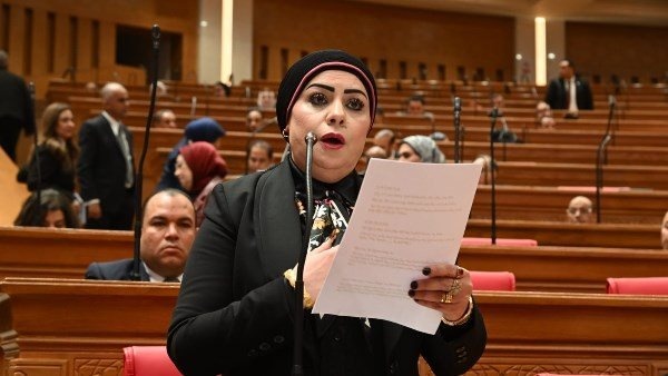 النائبة جيهان شاهين الأوكتاجون يجسد مفهوم القوة الشاملة النائبة جيهان شاهين الأوكتاجون يجسد مفهوم القوة الشاملة