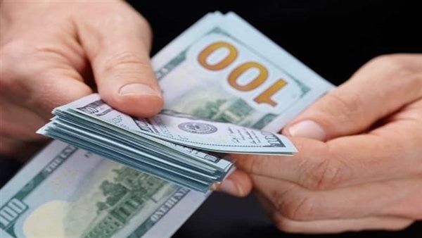 تعرف على العوامل التي ساعدت على استقرار سعر الدولار في مصر تعرف على العوامل التي ساعدت على استقرار سعر الدولار في مصر