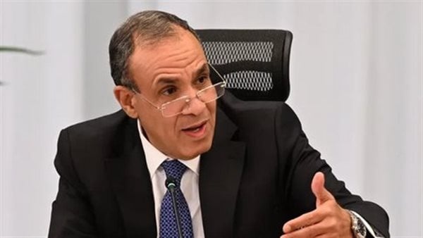 وزير الخارجية مصر ترفض تغيير الوضع بالقدس وتدعو لسرعة نشر قوة الاستقرار الدولية