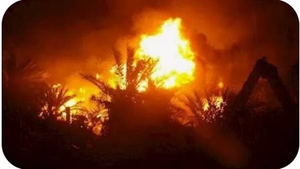 الحماية المدنية تسيطر على حريق بمزرعة نخيل بقرية الجديدة في الوادي الجديد