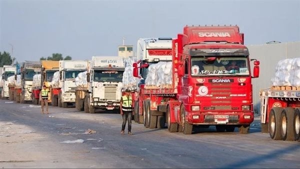 مصر تواصل تقديم المساعدات الإنسانية للأشقاء في قطاع غزة