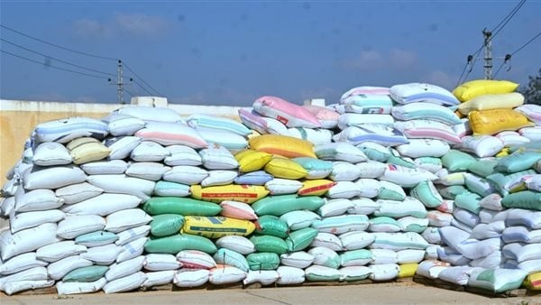 محافظ البحيرة توريد أكثر من 392 ألف طن قمح محلي و44 موقعا جاهزا للاستلام محافظ البحيرة توريد أكثر من 392 ألف طن قمح محلي و44 موقعا جاهزا للاستلام