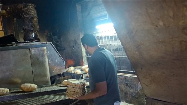من أجل رغيف خبز مطابق للمواصفات تحرير 69 محضر ا خلال حملات رقابية مكثفة بالغربية من أجل رغيف خبز مطابق للمواصفات تحرير 69 محضر ا خلال حملات رقابية مكثفة بالغربية