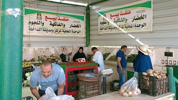 الوادي الجديد تواصل دعم المنافذ الحكومية لتوفير السلع بأسعار مخفضة للمواطنين الوادي الجديد تواصل دعم المنافذ الحكومية لتوفير السلع بأسعار مخفضة للمواطنين