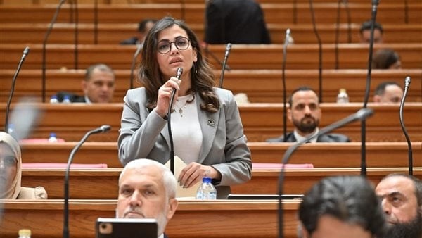 النائبة نيفين إسكندر ترفض موازنة 2026 2027 وتطالب برقابة أكبر على الصناديق الخاصة