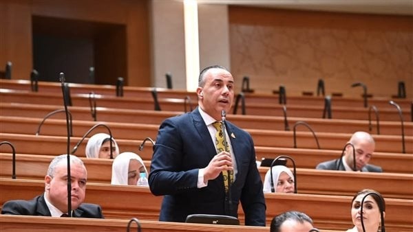 النائب محمد بلتاجي زيادة الصادرات هدف مهم وحماية المصانع ضرورة