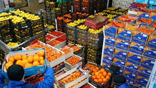 10 أسواق عالمية تدعم نمو صادرات الغذاء المصرية وإسبانيا تتصدر قائمة الارتفاعات