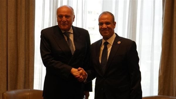 وزيرا خارجية مصر والجزائر يؤكدان أهمية استمرار التنسيق والتشارو حول ليبيا والقضية الفلسطينية وزيرا خارجية مصر والجزائر يؤكدان أهمية استمرار التنسيق والتشارو حول ليبيا والقضية الفلسطينية
