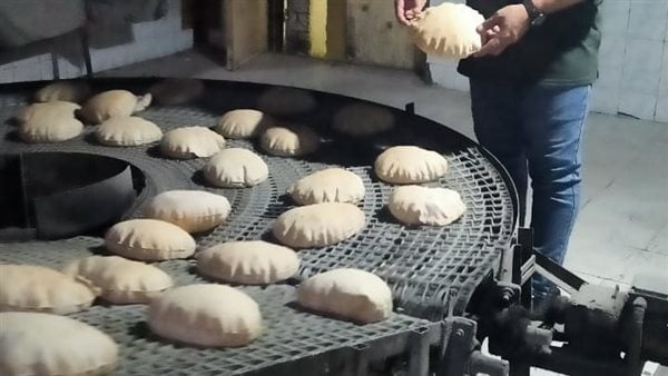 تحرير 57 محضر تمويني خلال حملات مكثفة على المخابز البلدية بـ5 مراكز بالبحيرة تحرير 57 محضر تمويني خلال حملات مكثفة على المخابز البلدية بـ5 مراكز بالبحيرة