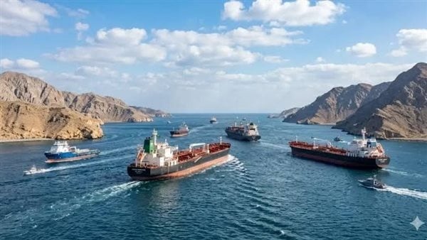 كشف آخر تطورات حركة الملاحة بمضيق هرمز مع تصاعد التوترات بين واشنطن وطهران كشف آخر تطورات حركة الملاحة بمضيق هرمز مع تصاعد التوترات بين واشنطن وطهران