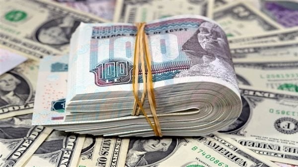سعر الدولار اليوم الخميس 20 أغسطس 2026 في البنوك