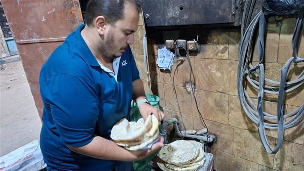 ضربات رقابية لضبط منظومة الخبز المدعم تحرير 13 محضر ا خلال حملات مكثفة بالغربية ضربات رقابية لضبط منظومة الخبز المدعم تحرير 13 محضر ا خلال حملات مكثفة بالغربية