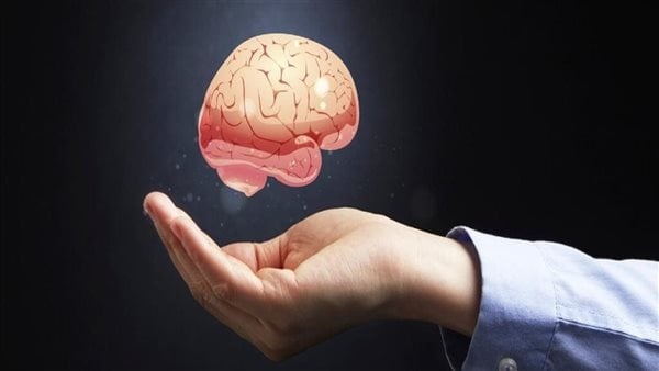 حيل مثبتة لتهدئة الدماغ حيل مثبتة لتهدئة الدماغ