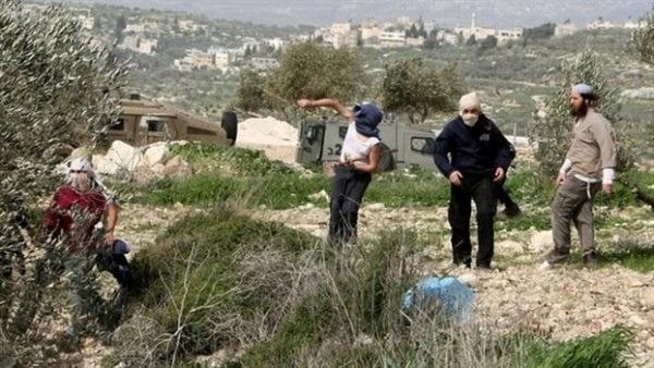 القاهرة الإخبارية 60 معتقل ا فلسطيني ا خلال ساعات وهجمات متواصلة للمستوطنين بالضفة