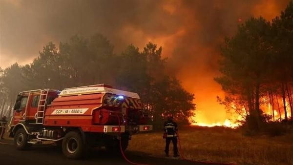 بسبب الجفاف خبير بيئي الغابات تواجه صعوبة متزايدة في التعافي بعد الحرائق بسبب الجفاف خبير بيئي الغابات تواجه صعوبة متزايدة في التعافي بعد الحرائق