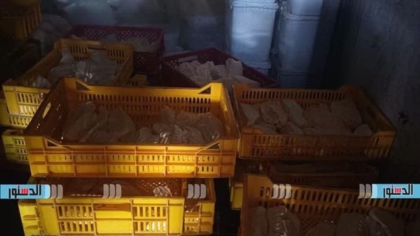 ضبط 600 كيلو منتجات أجبان داخل معمل غير مرخص في كفر الشيخ