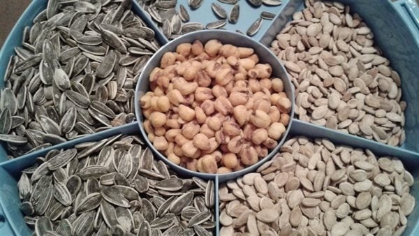 تسبب التهاب الزائدة الدودية طبيب يحذر من تناول البذور بقشورها تسبب التهاب الزائدة الدودية طبيب يحذر من تناول البذور بقشورها