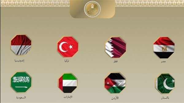بينهم مصر 8 دول إسلامية تدين الانتهاكات الإسرائيلية في غزة