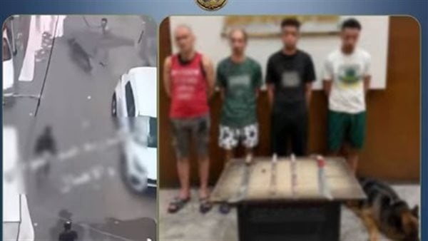 بحوزة أحدهم كلب ضبط طرفي مشاجرة بالأسلحة البيضاء في الإسكندرية بحوزة أحدهم كلب ضبط طرفي مشاجرة بالأسلحة البيضاء في الإسكندرية