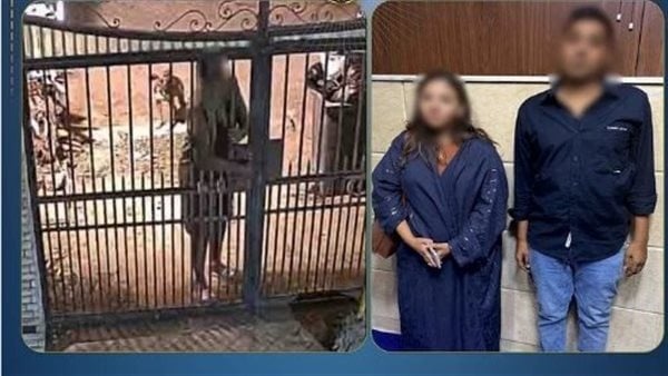 خلاف على تقليم الأشجار يكشف ادعاء سيدة كاذب ا ضد جارها بالمقطم خلاف على تقليم الأشجار يكشف ادعاء سيدة كاذب ا ضد جارها بالمقطم