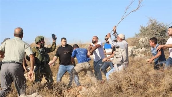خبير اعتداءات المستوطنين على الفلسطينيين متواصلة تحت حماية الحكومة الإسرائيلية
