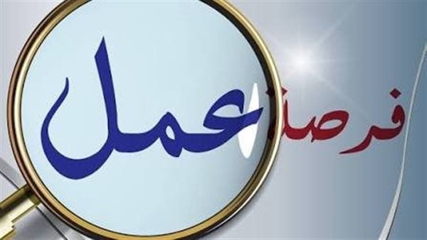 60 فرصة عمل جديدة لشباب الإسماعيلية