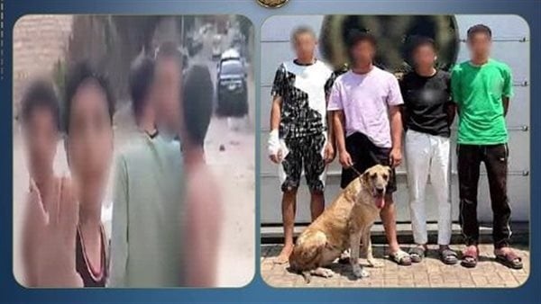 ضبط 4 عاطلين بالإسكندرية بعد تداول فيديو لاستعراضهم بكلب والتعدي على المارة ضبط 4 عاطلين بالإسكندرية بعد تداول فيديو لاستعراضهم بكلب والتعدي على المارة
