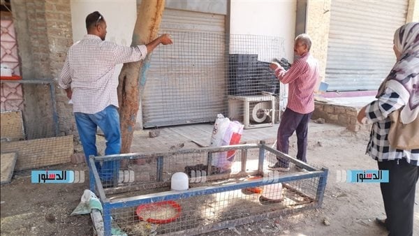 محافظ أسيوط حملات مكثفة لرفع الإشغالات والتعديات من شوارع الغنايم