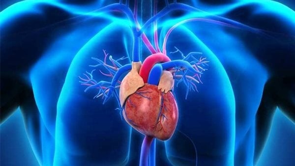 علاج بالخلايا الجذعية يعكس فشل القلب لدى 90 من المرضى علاج بالخلايا الجذعية يعكس فشل القلب لدى 90 من المرضى
