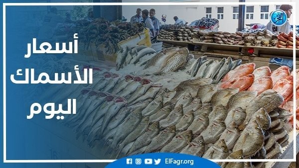أسعار الأسماك اليوم الجمعة 2 12 2022 في سوق العبور