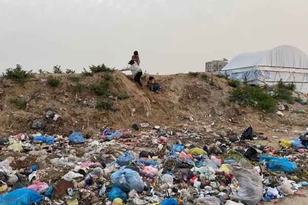 the gaza municipality s control over the spread of rodents has become almost impossible the gaza municipality s control over the spread of rodents has become almost impossible