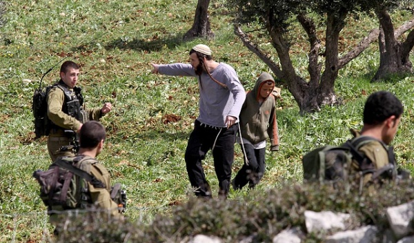 مستوطنون صهاينة يعتدون على أراض وممتلكات فلسطينية في الخليل وطوباس