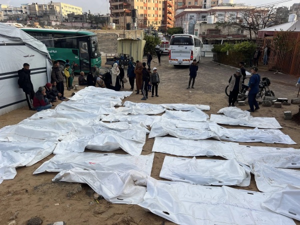 ارتفاع عدد شهداء الإبادة الإسرائيلية في غزة إلى 73 417 شهيدا ارتفاع عدد شهداء الإبادة الإسرائيلية في غزة إلى 73 417 شهيدا