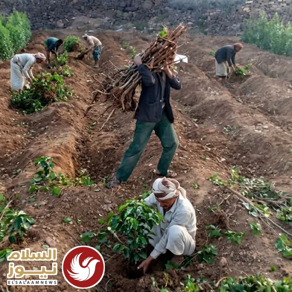 بيت البارق ثورة الوعي واستعادة عرش الب ن بيت البارق ثورة الوعي واستعادة عرش الب ن