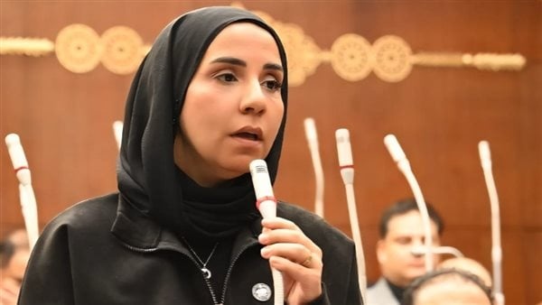 نائبة استخدام بيانات أولياء الأمور للحصول على قروض جريمة تستوجب تشديد العقوبات