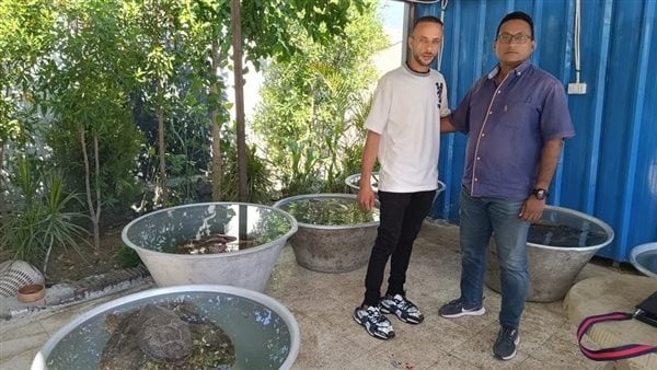 وزيرة التنمية المحلية والبيئة مواطن ينقذ 6 سلاحف بحرية مهددة بالإنقراض