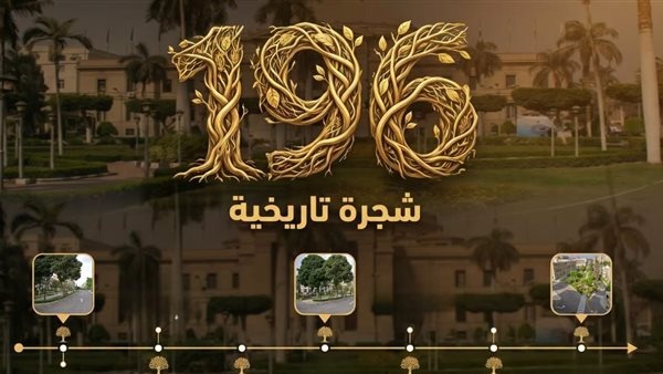 196 شجرة تحكي تاريخ جامعة القاهرة ذاكرة خضراء بين العلم والزمن 196 شجرة تحكي تاريخ جامعة القاهرة ذاكرة خضراء بين العلم والزمن