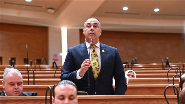 النائب محمد بلتاجي الأوكتاجون يحصن البنية التحتية للاقتصاد المصري ضد التهديدات السيبرانية النائب محمد بلتاجي الأوكتاجون يحصن البنية التحتية للاقتصاد المصري ضد التهديدات السيبرانية